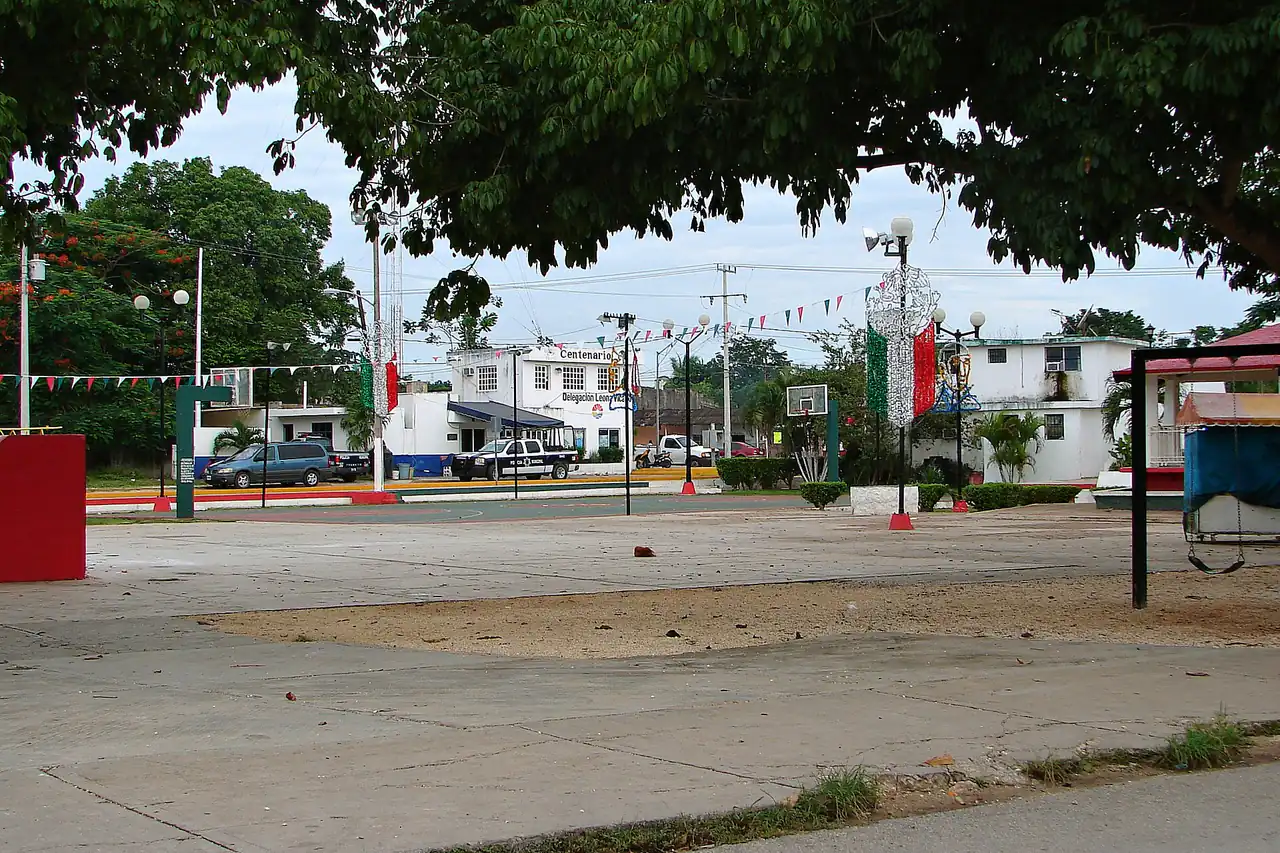 Leona Vicario view