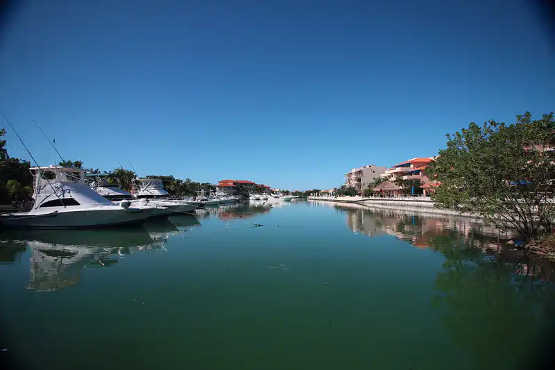 Paisaje de la zona de Puerto Aventuras