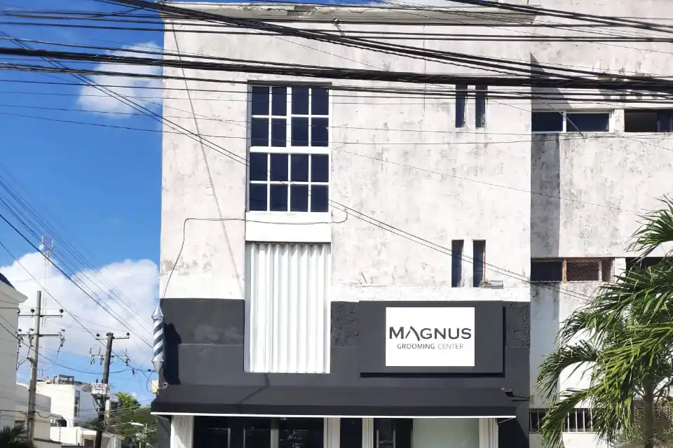 Barbería & Spa Magnus Grooming Center in Cancun Hotel Zone & Downtown