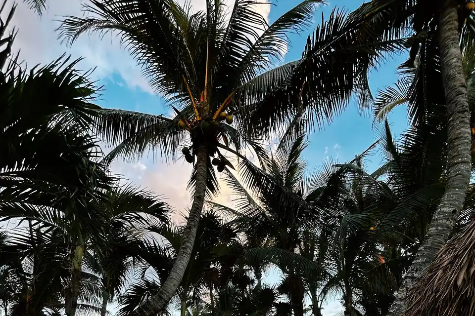 Casa Iguana in Akumal