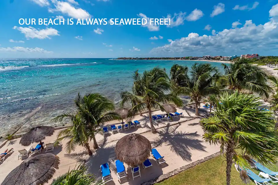 Condominium Seascape in Akumal