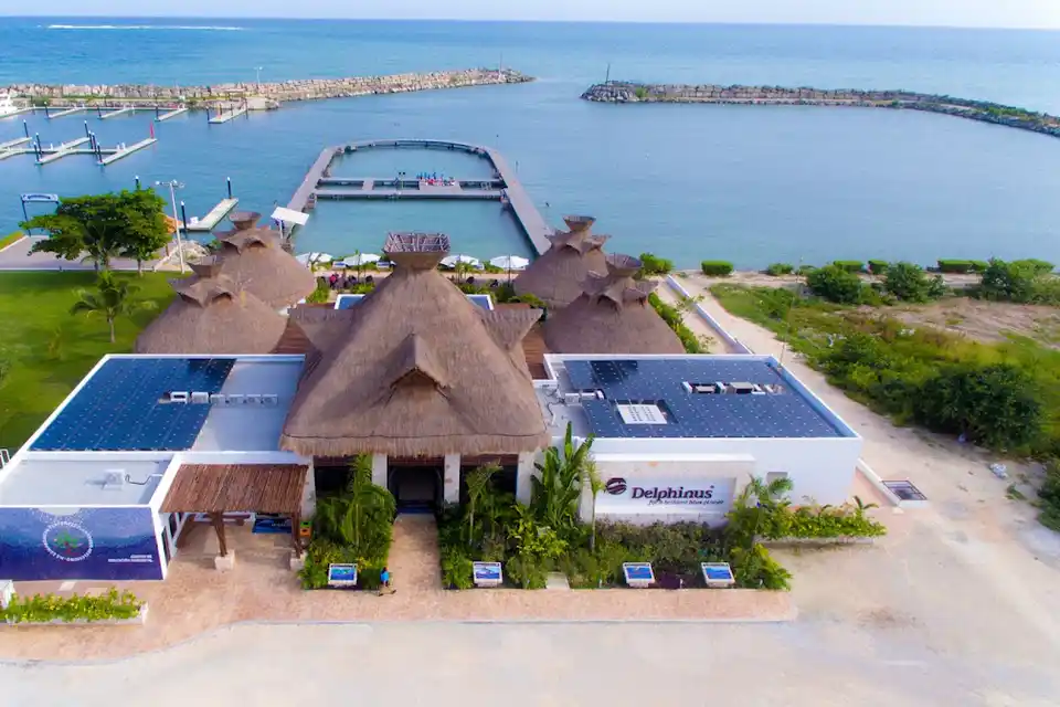 Delphinus Puerto Morelos en Puerto Morelos