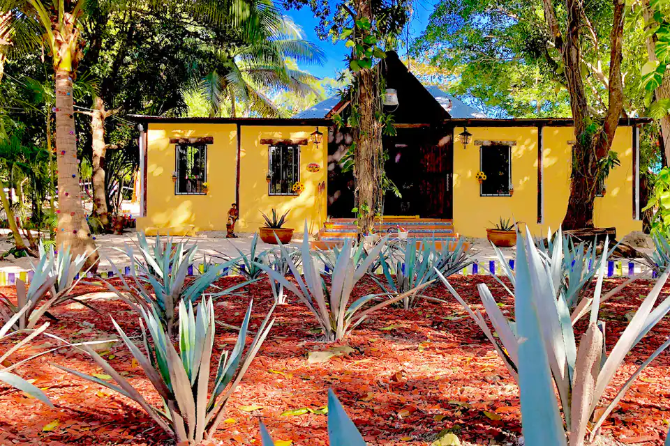 Hotel Tequila Cancun in Puerto Morelos