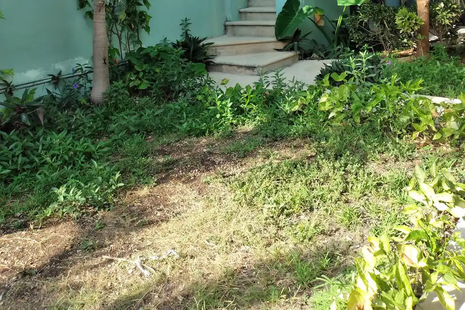 La Casa Verde Tulum