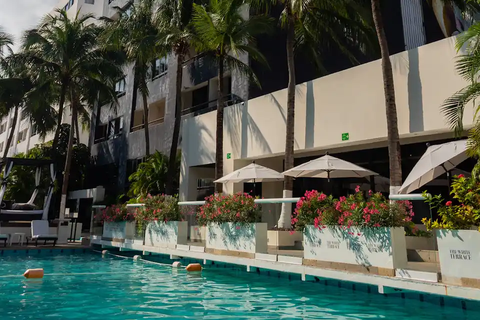 Oh the Urban Oasis in Cancun Hotel Zone & Downtown