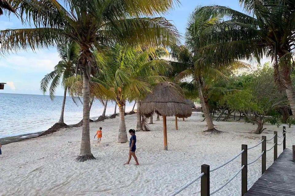 Playa Coral (el Mirador II) en Cancun Zona Hotelera & Centro