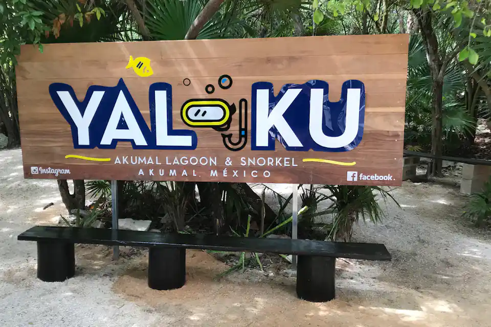 Rexdinoland en Akumal