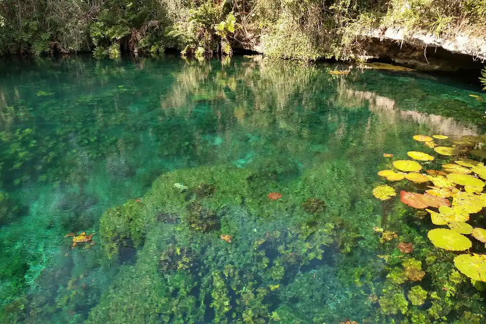 Tankah en Tulum