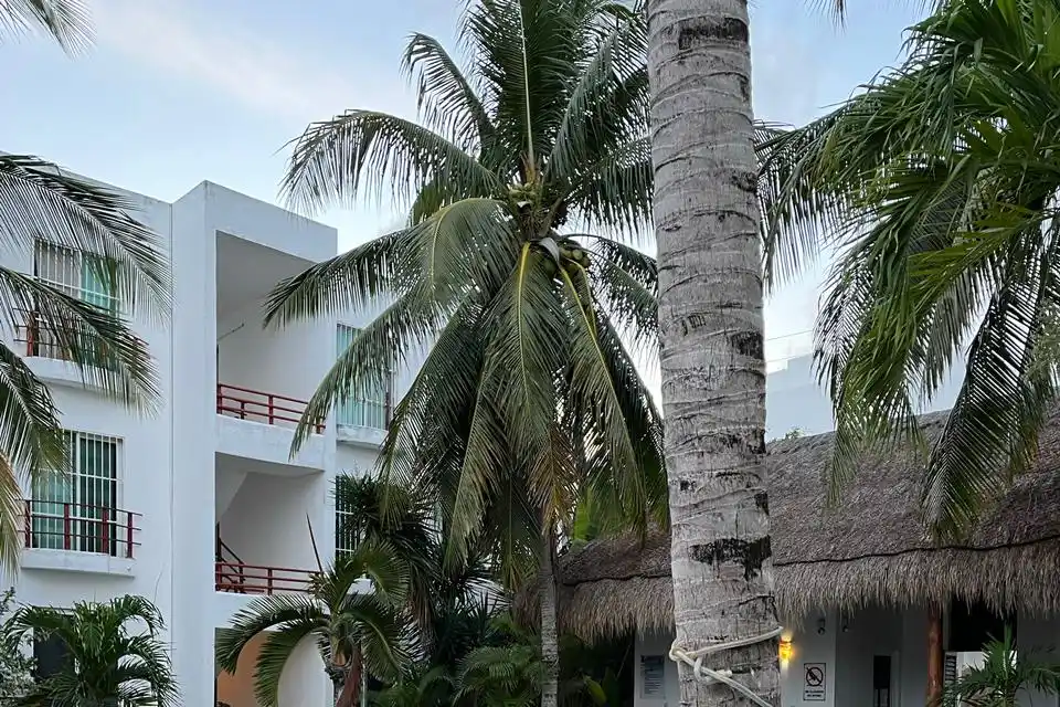 Villas Paraiso Chaak Condos