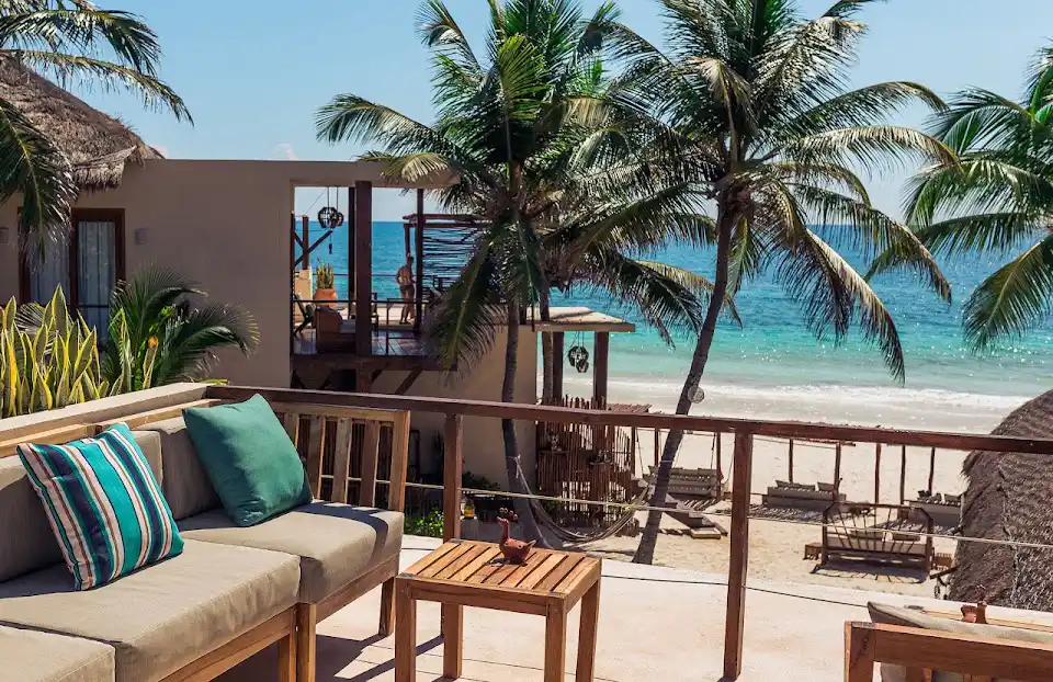 Zebra Tulum