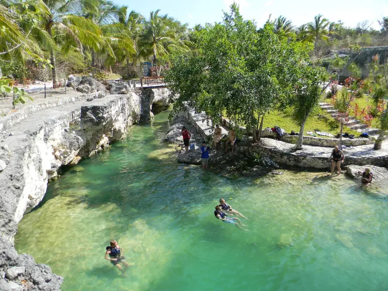 Clear water in a cenote in Solidaridad, Quintana Roo