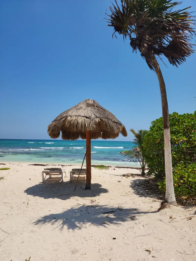 Palapa, palm trees, light sand and Caribbean water in Playa del Carmen